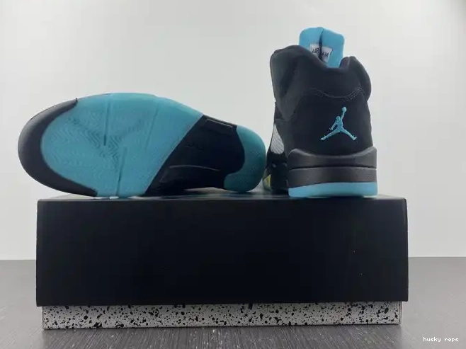 Cheap Husky DD0587-047 Aqua 5 Air Jordan 0529